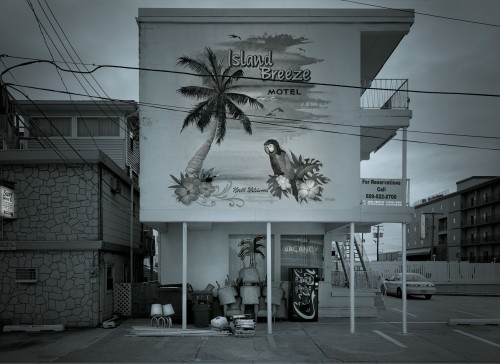 Kooness